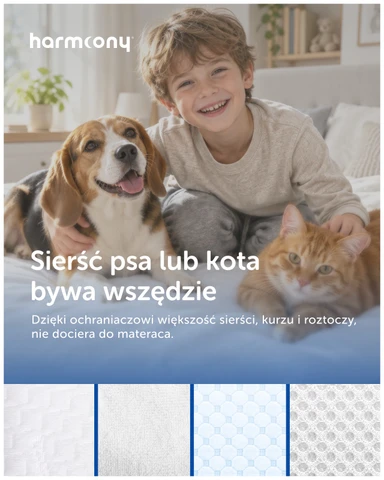 Zdjęcie 8